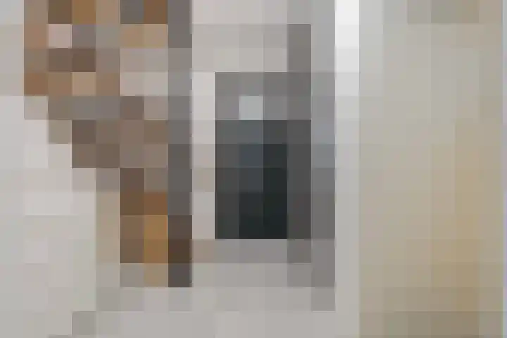 Leeuwerikstraat 10 Nijeveen thumbnail 18
