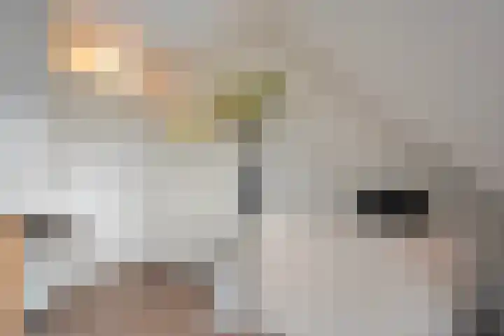 Leeuwerikstraat 10 Nijeveen thumbnail 22