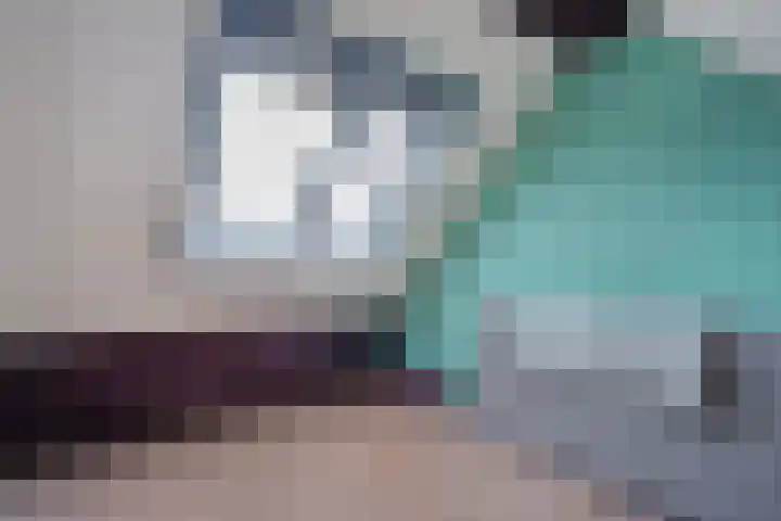Leeuwerikstraat 10 Nijeveen thumbnail 37