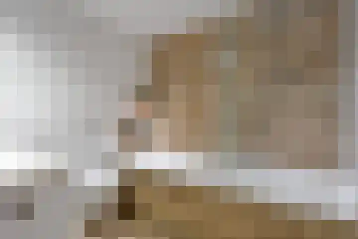 Leeuwerikstraat 10 Nijeveen thumbnail 4