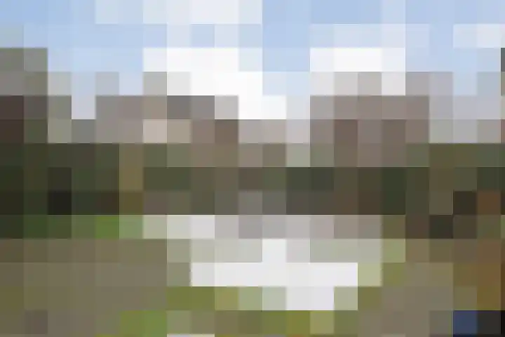 Leeuwerikstraat 10 Nijeveen thumbnail 42