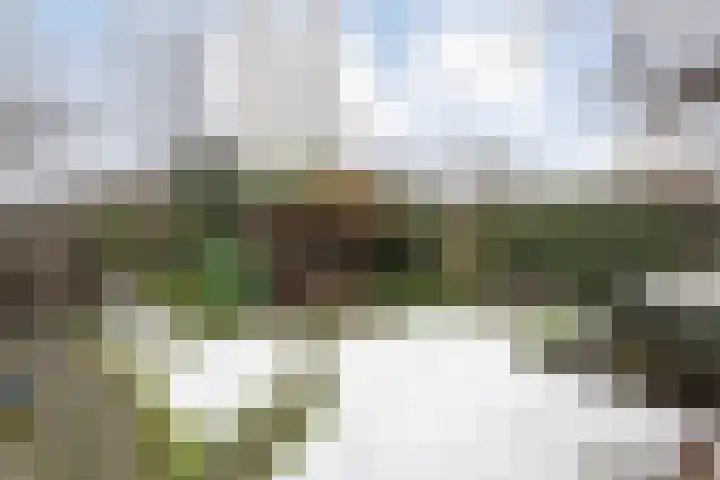 Leeuwerikstraat 10 Nijeveen thumbnail 43