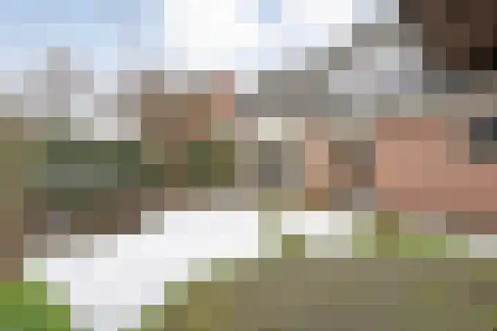 Leeuwerikstraat 10 Nijeveen thumbnail 44