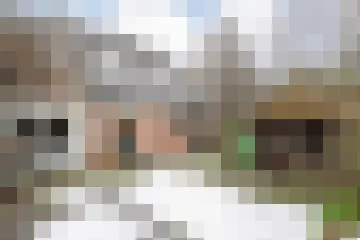 Leeuwerikstraat 10 Nijeveen thumbnail 45