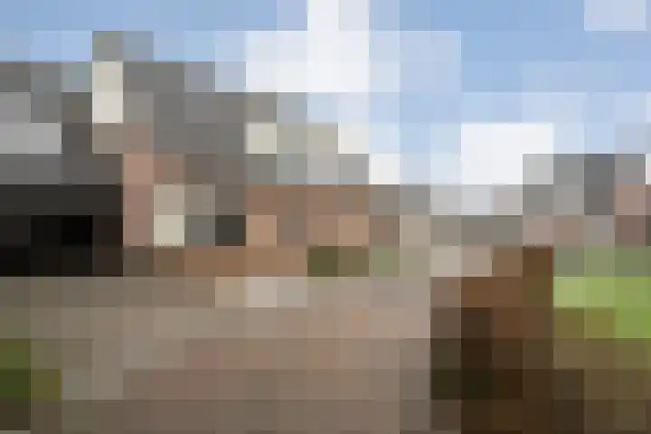 Leeuwerikstraat 10 Nijeveen thumbnail 47