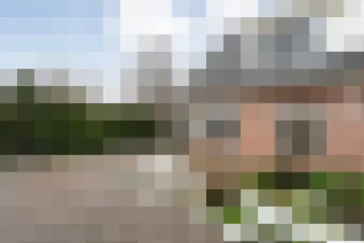 Leeuwerikstraat 10 Nijeveen thumbnail 48