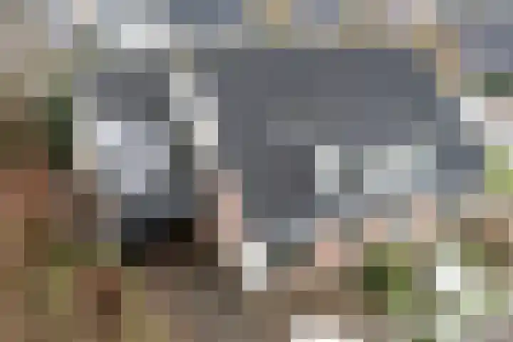 Leeuwerikstraat 10 Nijeveen thumbnail 51