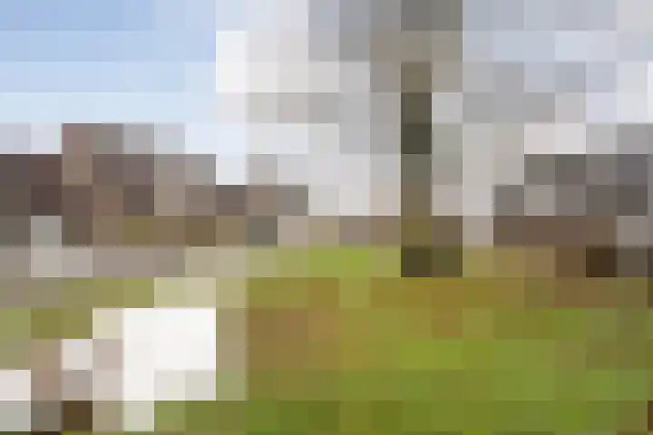 Leeuwerikstraat 10 Nijeveen thumbnail 53
