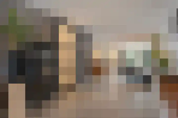 Leeuwerikstraat 10 Nijeveen thumbnail 8