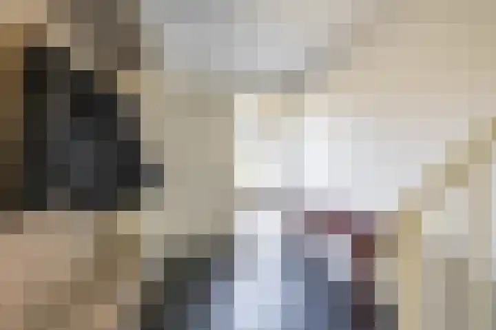 Leeuwerikstraat 10 Norg thumbnail 12