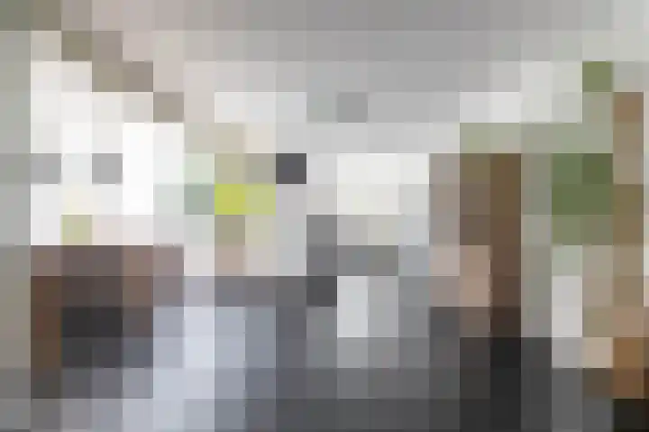 Leeuwerikstraat 10 Norg thumbnail 17