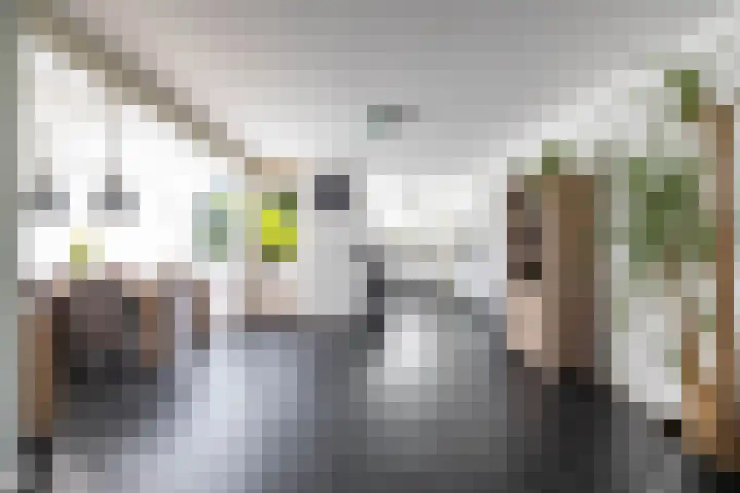 Leeuwerikstraat 10 Norg thumbnail 17