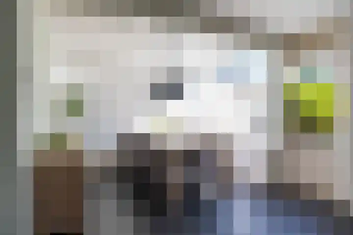 Leeuwerikstraat 10 Norg thumbnail 18