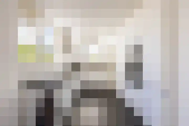 Leeuwerikstraat 10 Norg thumbnail 20