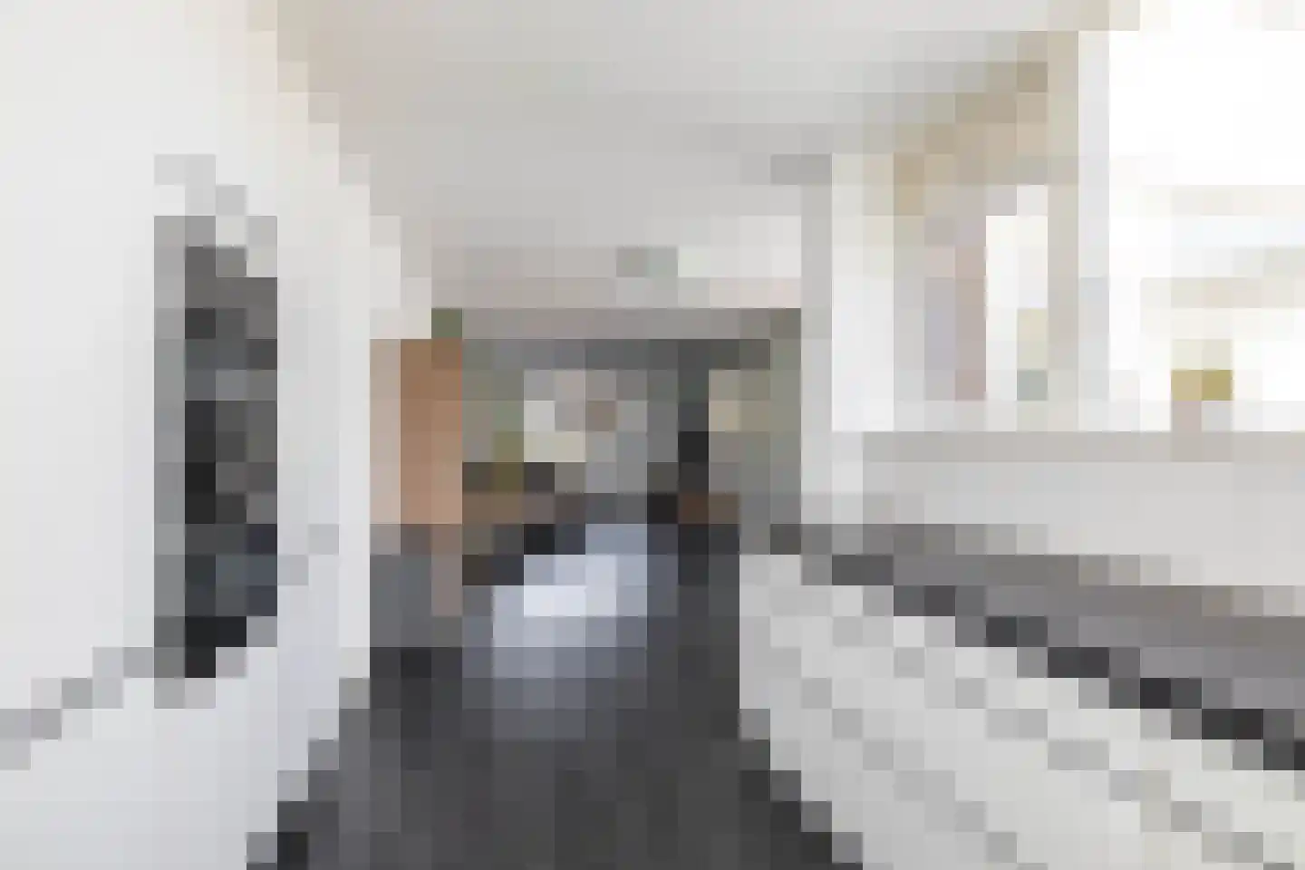 Leeuwerikstraat 10 Norg thumbnail 21
