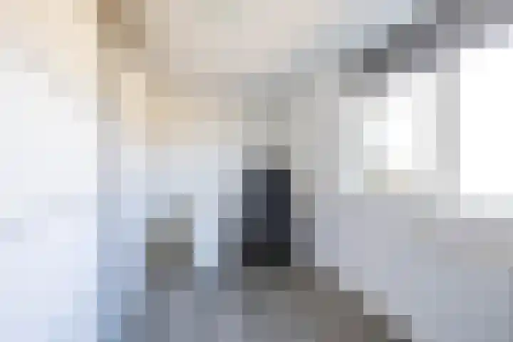 Leeuwerikstraat 10 Norg thumbnail 29