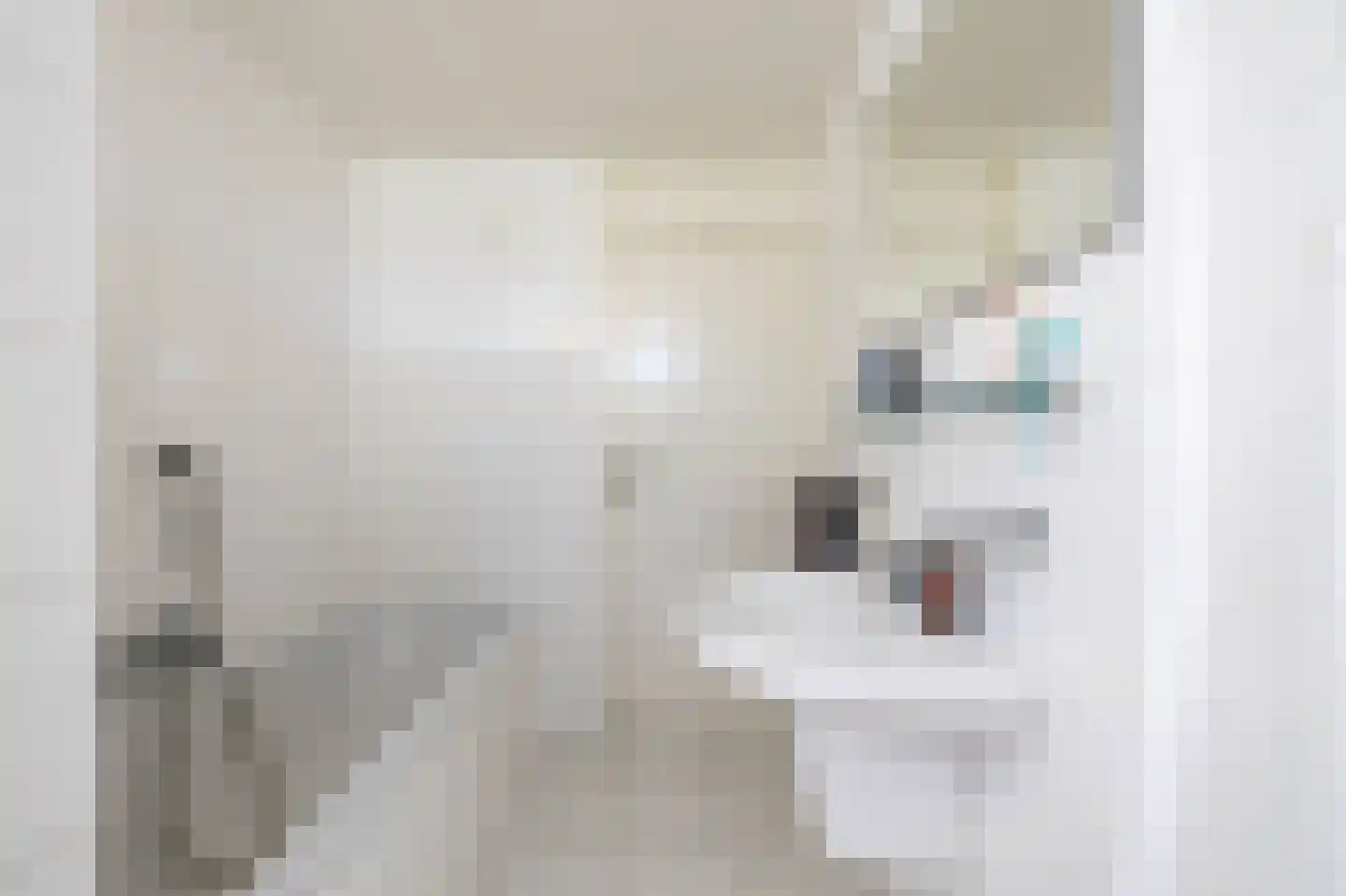 Leeuwerikstraat 10 Norg thumbnail 32