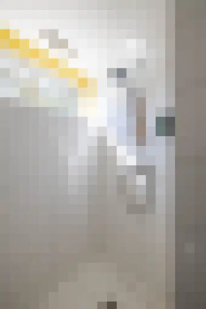 Leeuwerikstraat 10 Norg thumbnail 34