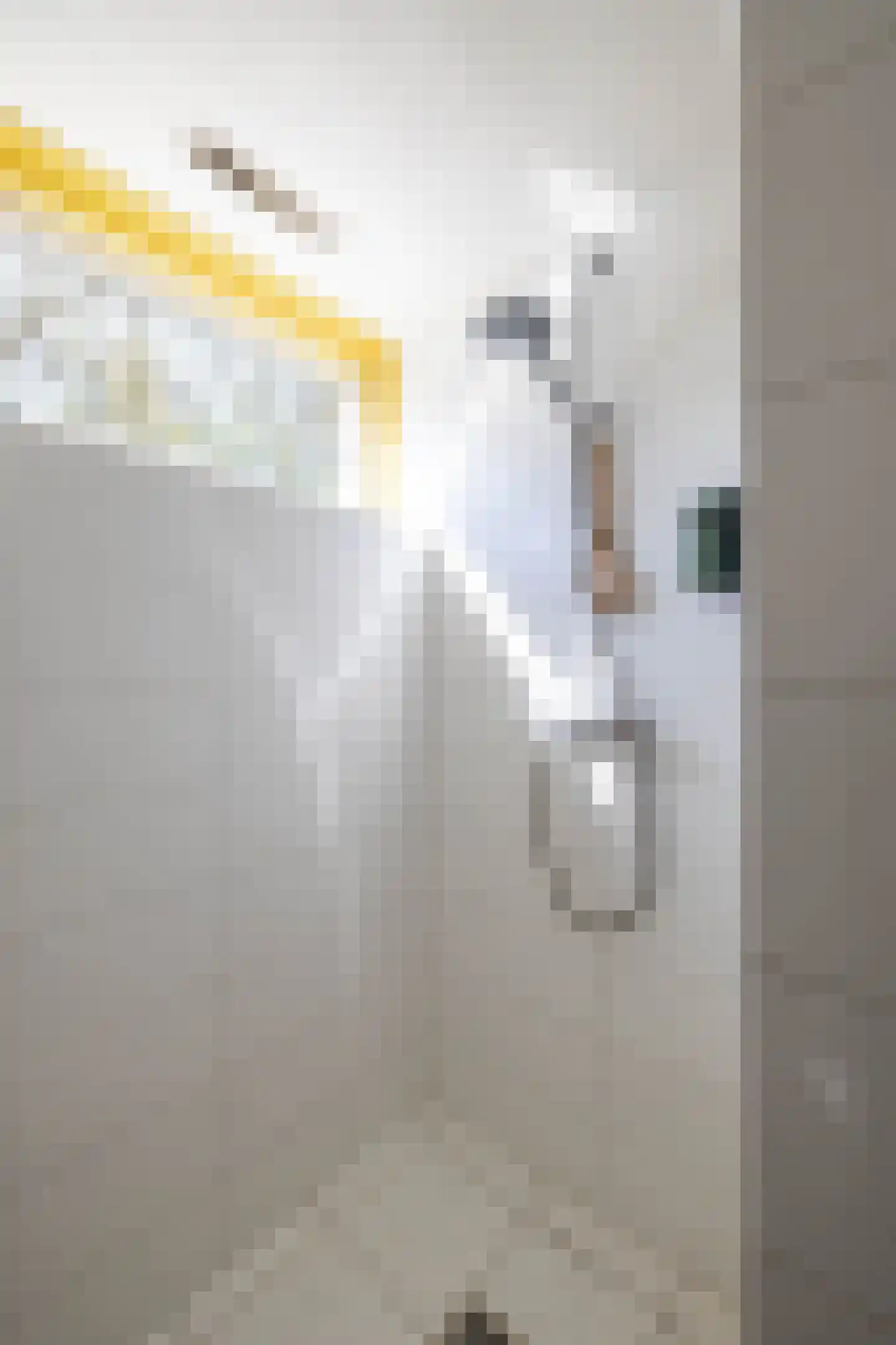 Leeuwerikstraat 10 Norg thumbnail 34