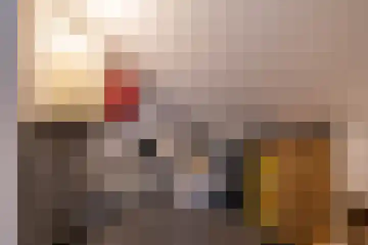 Leeuwerikstraat 10 Norg thumbnail 41