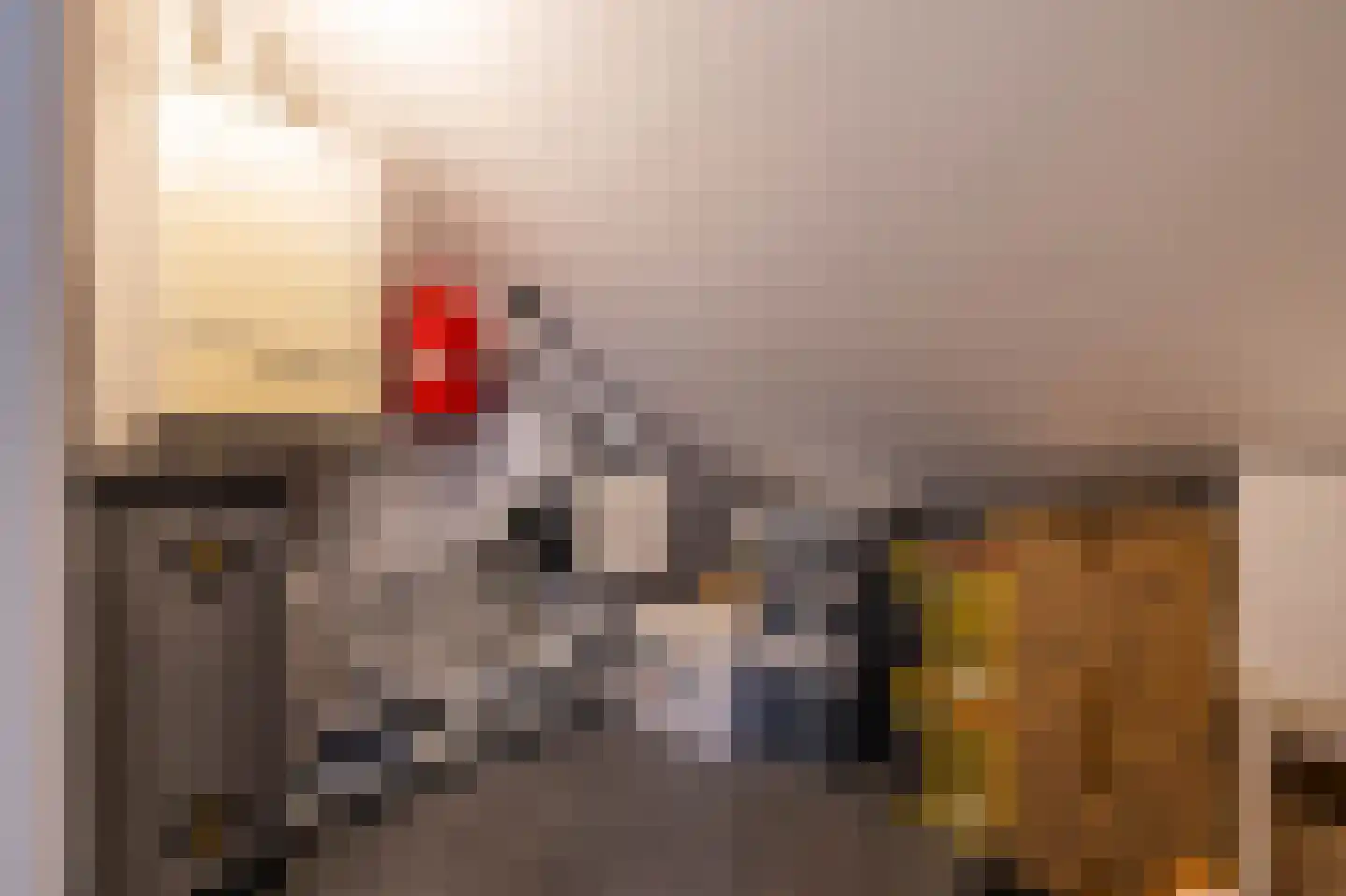 Leeuwerikstraat 10 Norg thumbnail 41