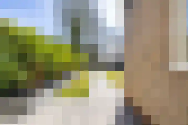 Leeuwerikstraat 10 Norg thumbnail 47