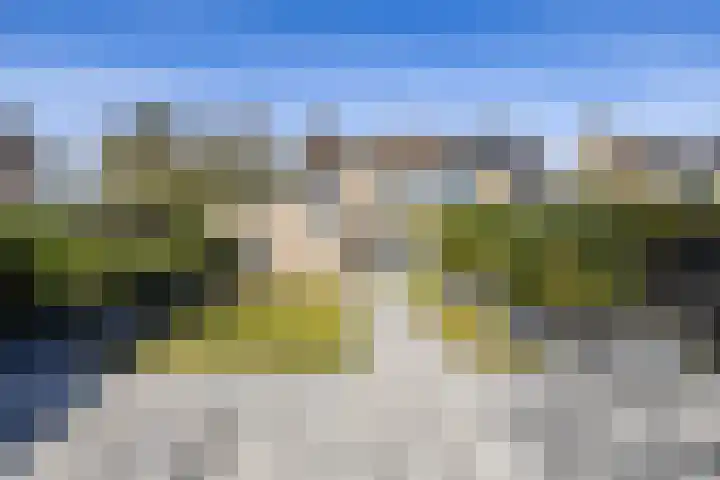 Leeuwerikstraat 10 Norg thumbnail 48