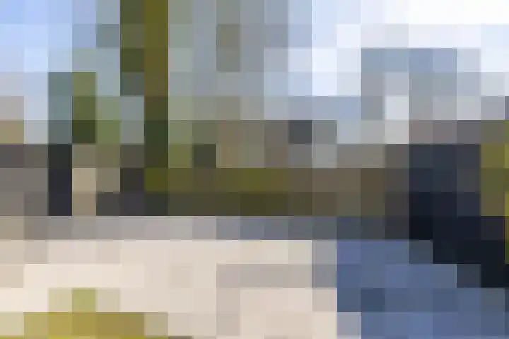 Leeuwerikstraat 10 Norg thumbnail 50