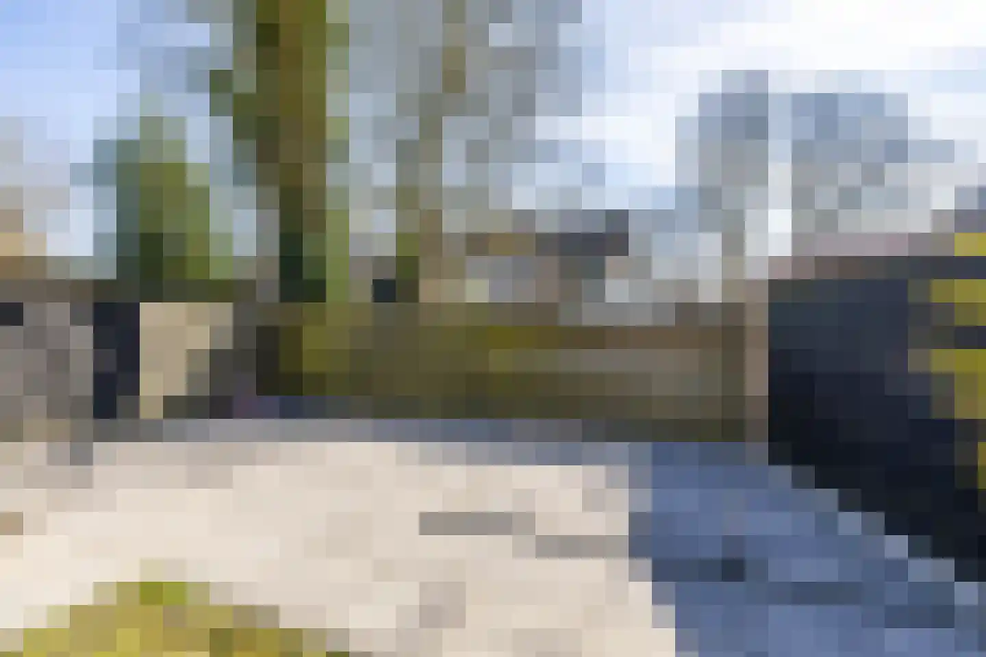 Leeuwerikstraat 10 Norg thumbnail 50