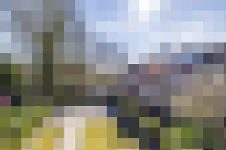 Leeuwerikstraat 10 Norg thumbnail 51