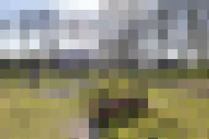 Leeuwerikstraat 10 Norg thumbnail 52
