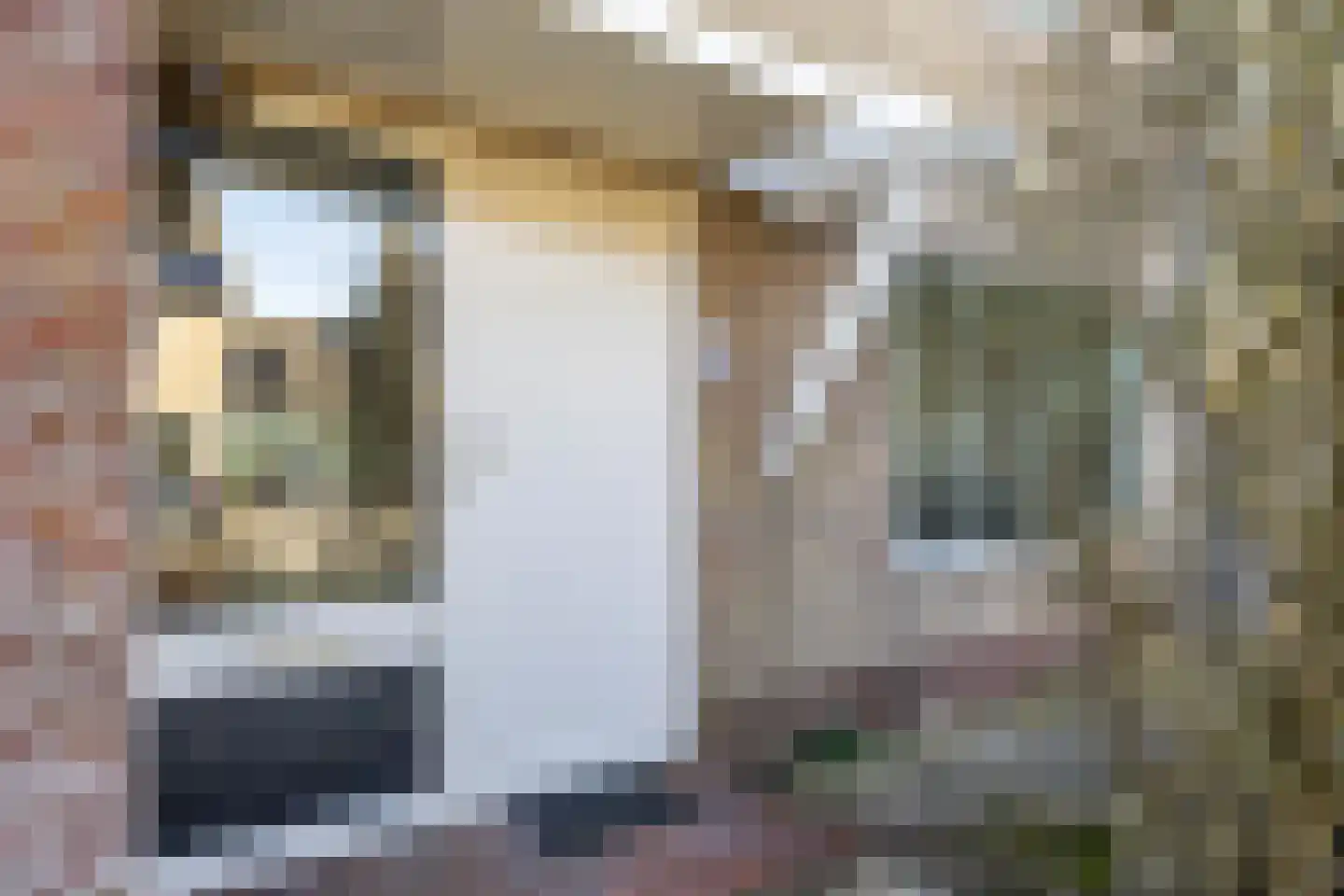 Leeuwerikstraat 10 Norg thumbnail 8