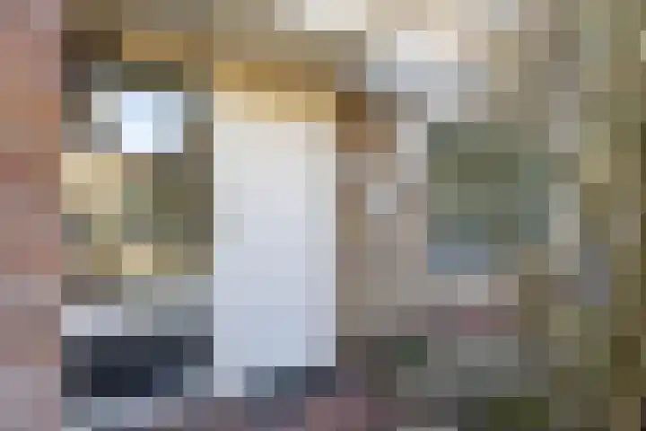 Leeuwerikstraat 10 Norg thumbnail 8