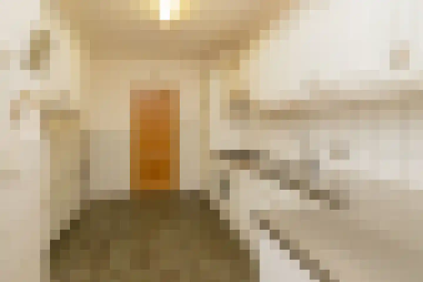 Leeuwerikstraat 11 Honselersdijk thumbnail 17