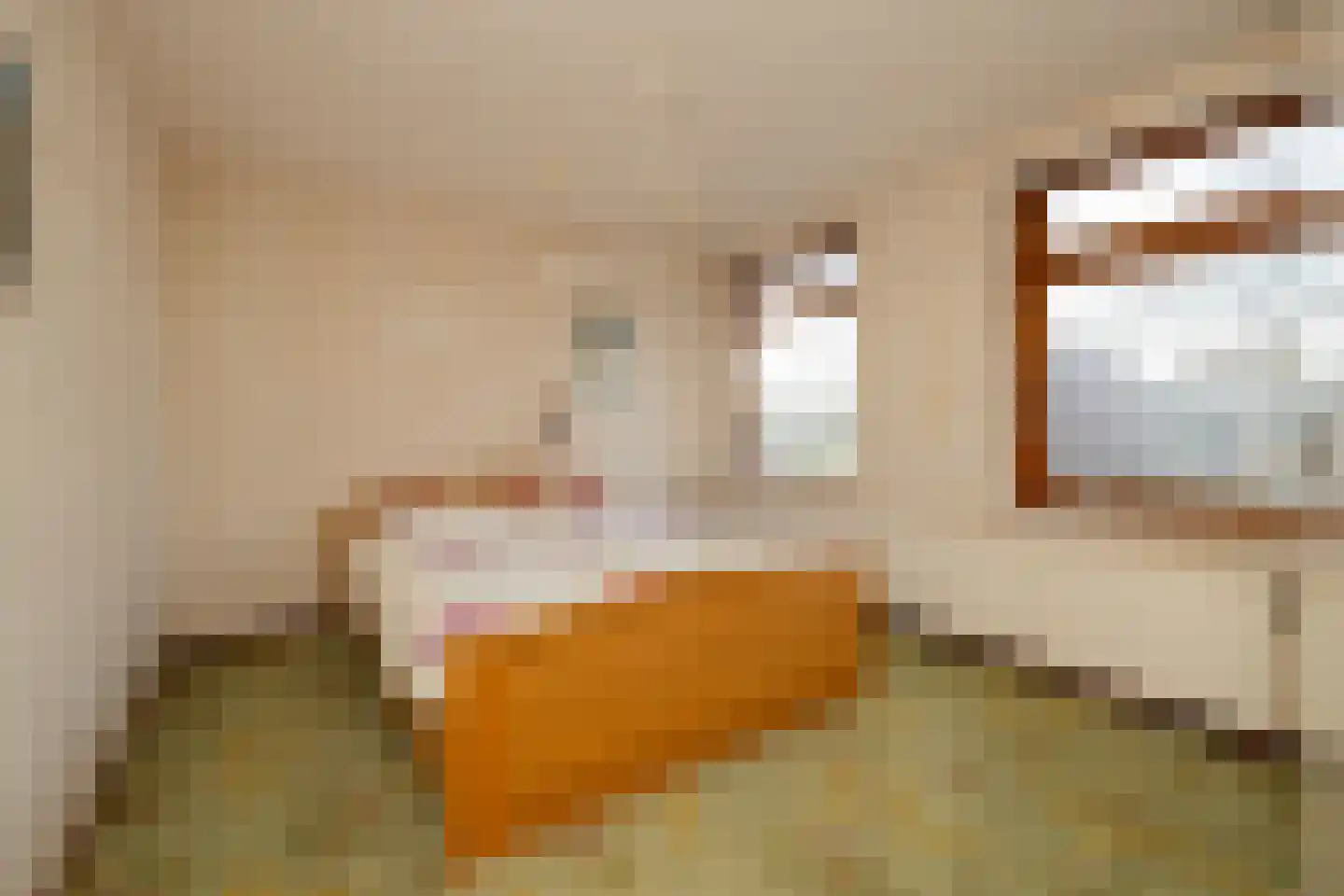 Leeuwerikstraat 11 Honselersdijk thumbnail 30