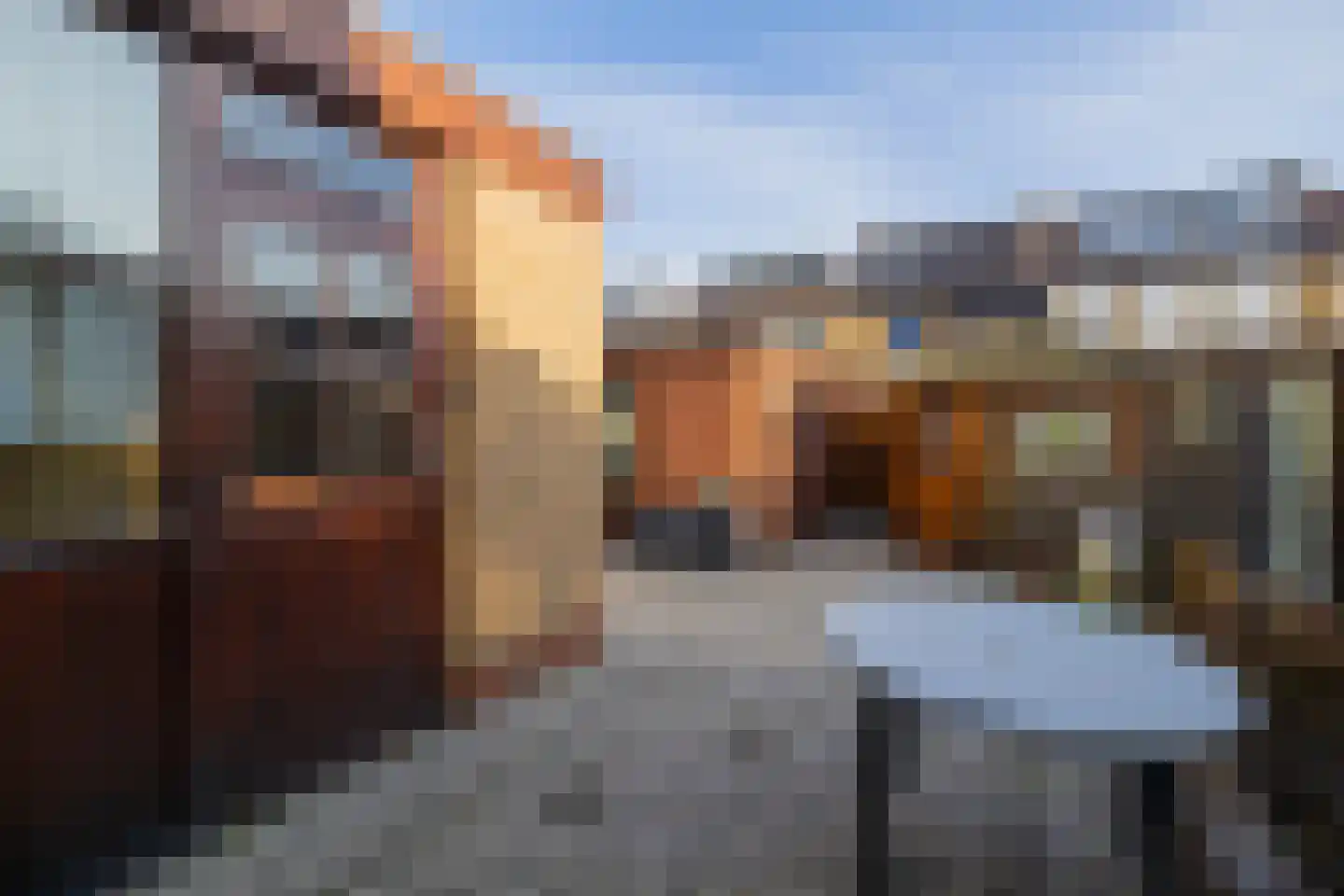 Leeuwerikstraat 11 Honselersdijk thumbnail 35