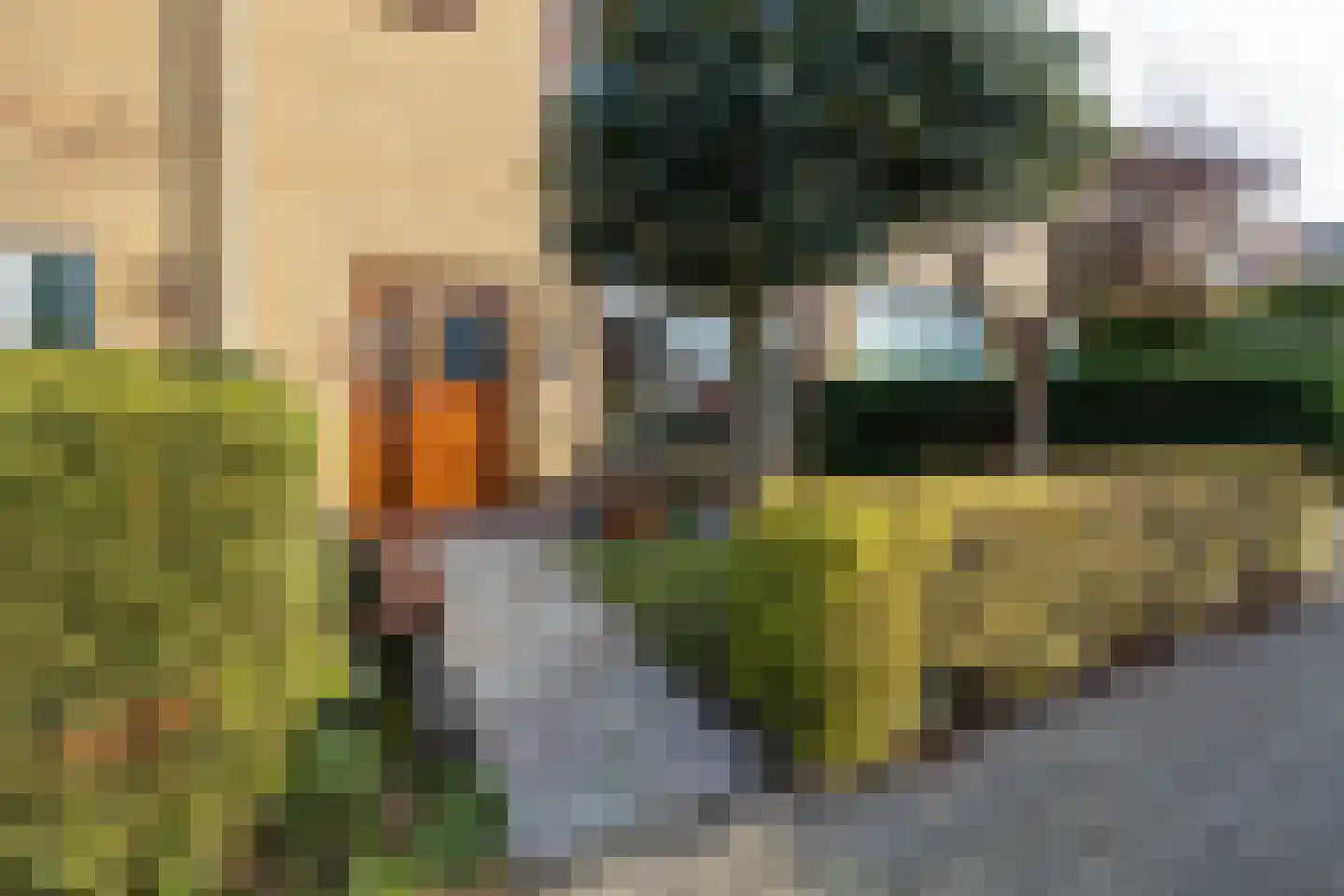 Leeuwerikstraat 11 Honselersdijk thumbnail 45
