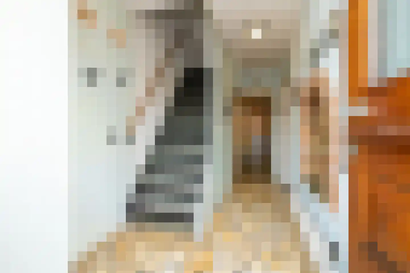 Leeuwerikstraat 11 Honselersdijk thumbnail 5