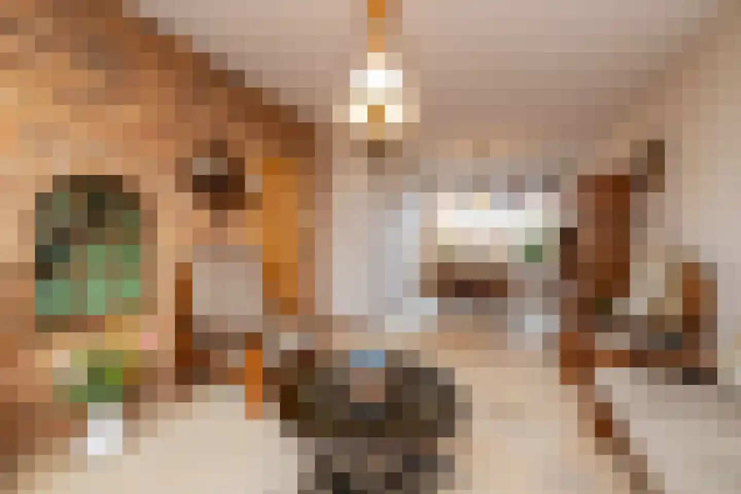 Leeuwerikstraat 11 Honselersdijk thumbnail 6