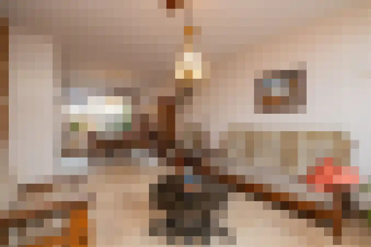 Leeuwerikstraat 11 Honselersdijk thumbnail 7