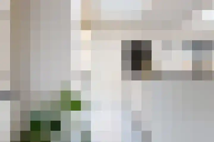 Leeuwerikstraat 11 Kamerik thumbnail 11