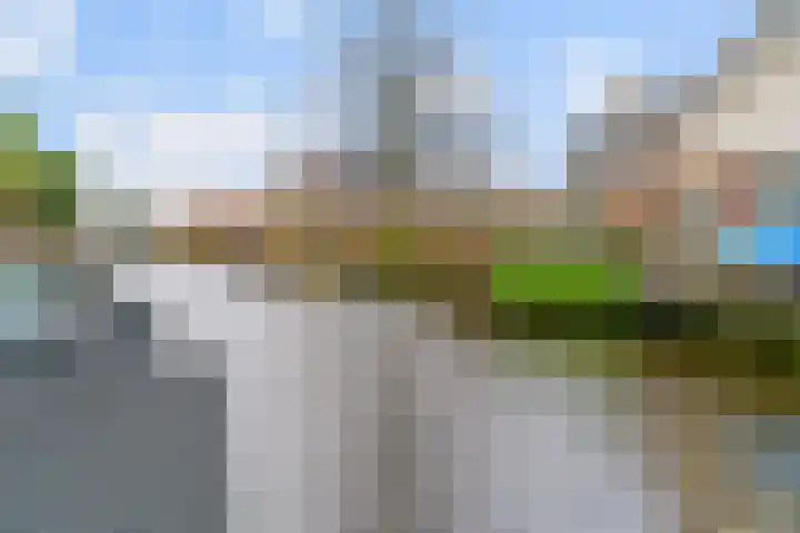 Leeuwerikstraat 11 Kamerik thumbnail 39