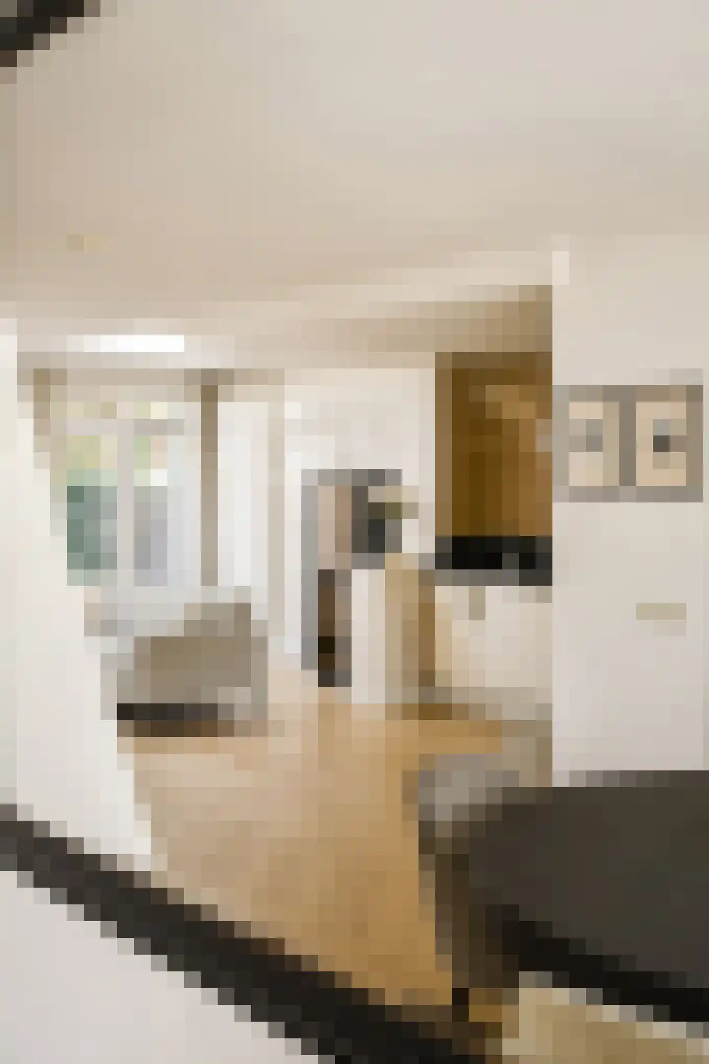 Leeuwerikstraat 11 Wormerveer thumbnail 15