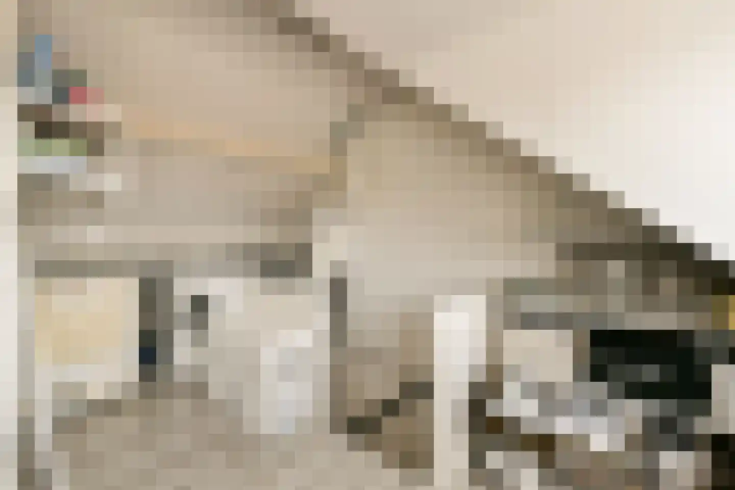 Leeuwerikstraat 11 Wormerveer thumbnail 34