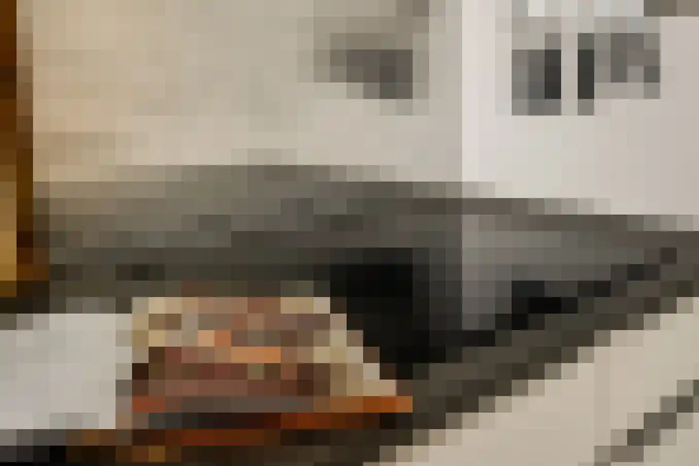 Leeuwerikstraat 12 B Amsterdam thumbnail 14