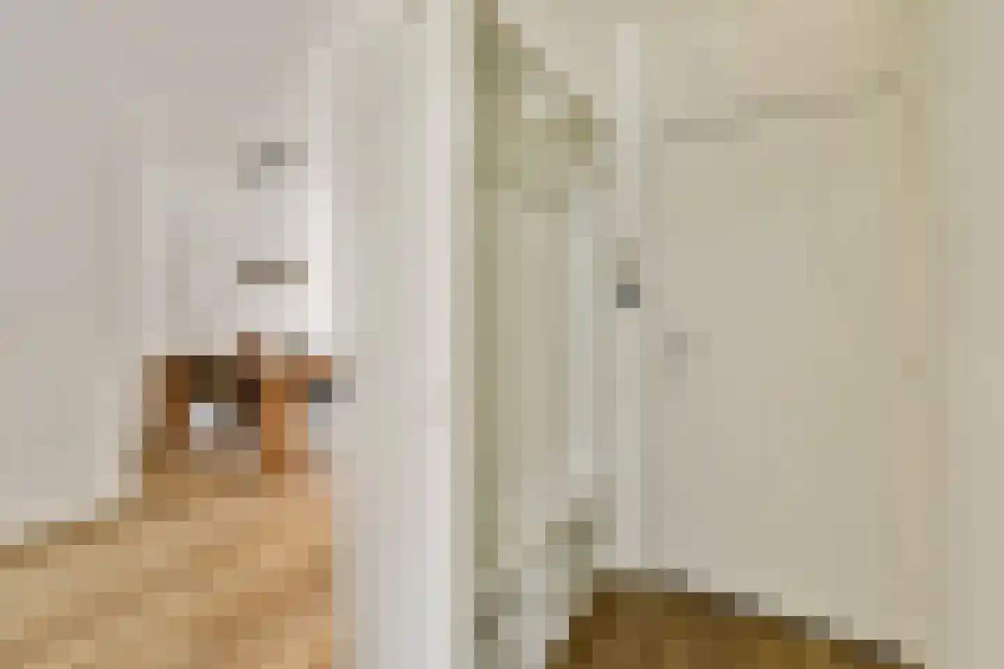 Leeuwerikstraat 12 B Amsterdam thumbnail 7