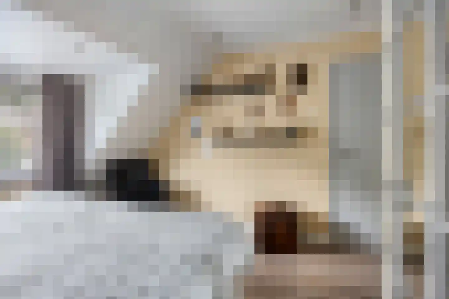 Leeuwerikstraat 12 Herkenbosch thumbnail 17