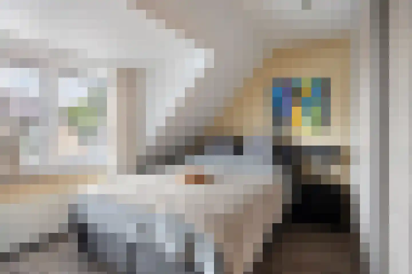 Leeuwerikstraat 12 Herkenbosch thumbnail 18