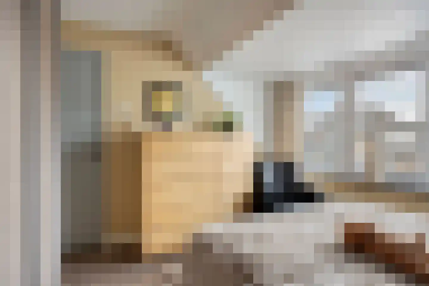 Leeuwerikstraat 12 Herkenbosch thumbnail 19