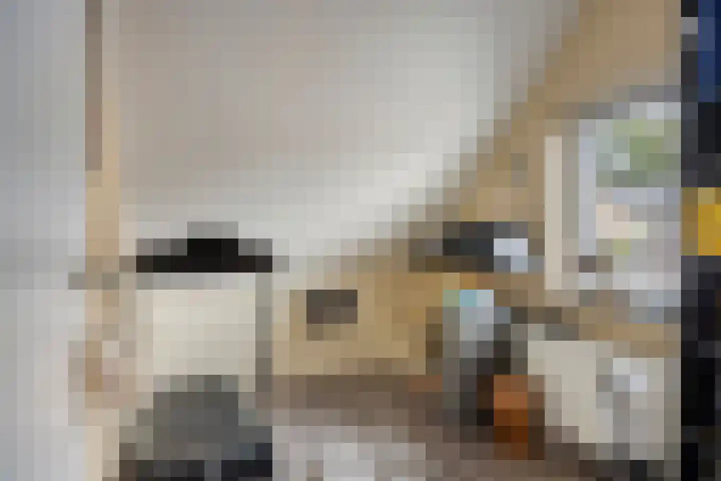 Leeuwerikstraat 12 Herkenbosch thumbnail 20